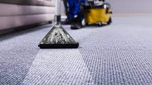 carpet steam cleaners