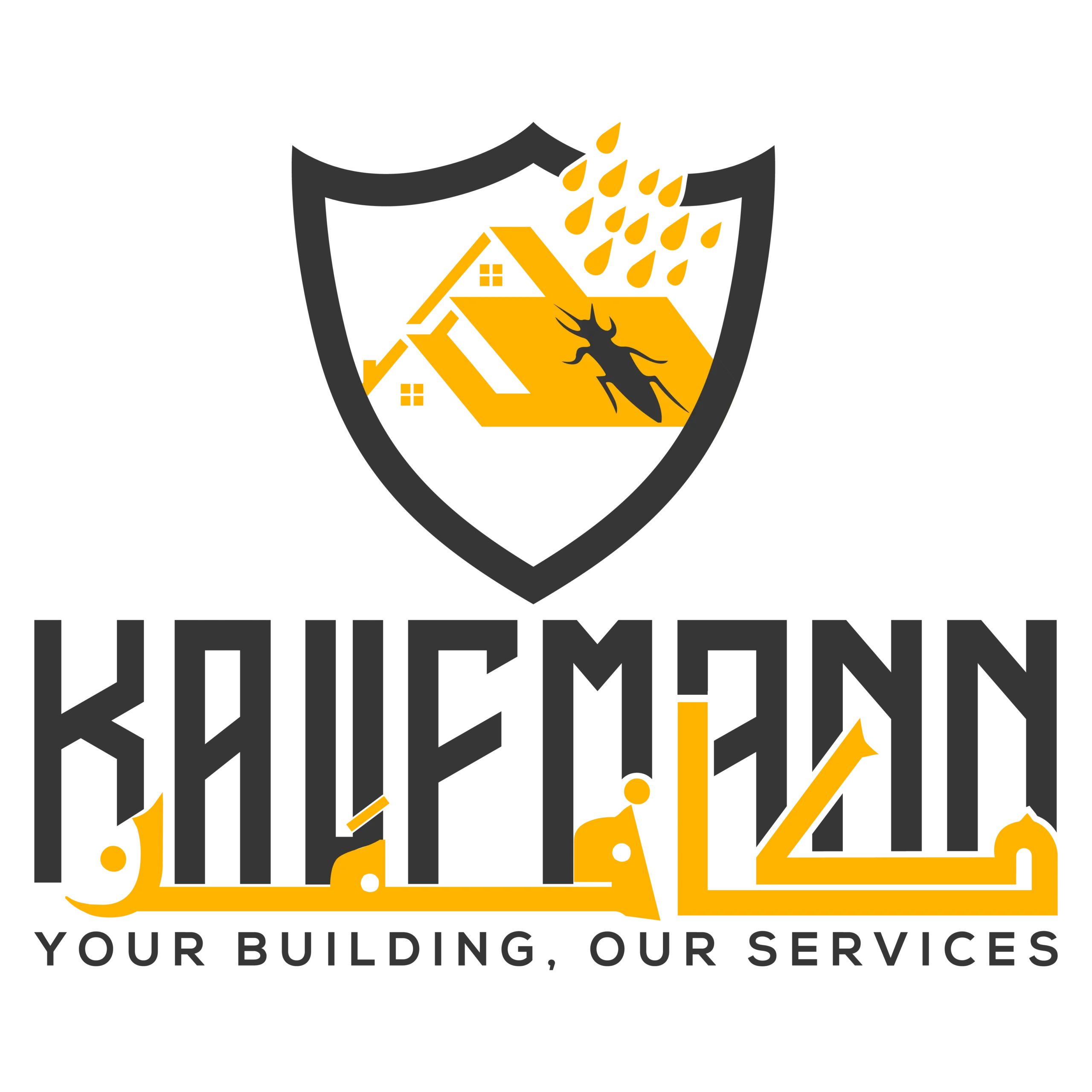 kaufmann.com.pk