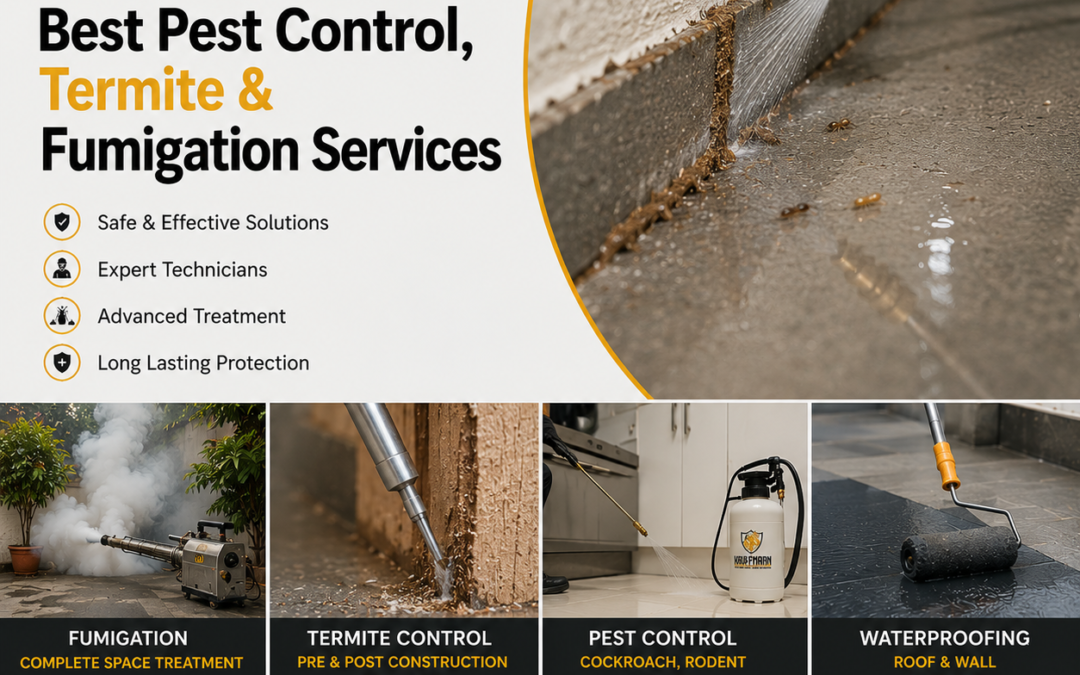 Best Pest Control, Termite & Fumigation Services Near You